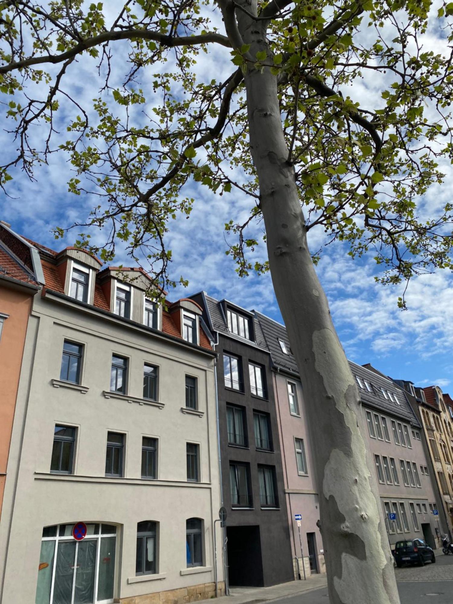Eiwelhome - Stilvoll, Urban-Ruhig Schlafen, Bahnhofsnah, Balkon Эрфурт Экстерьер фото